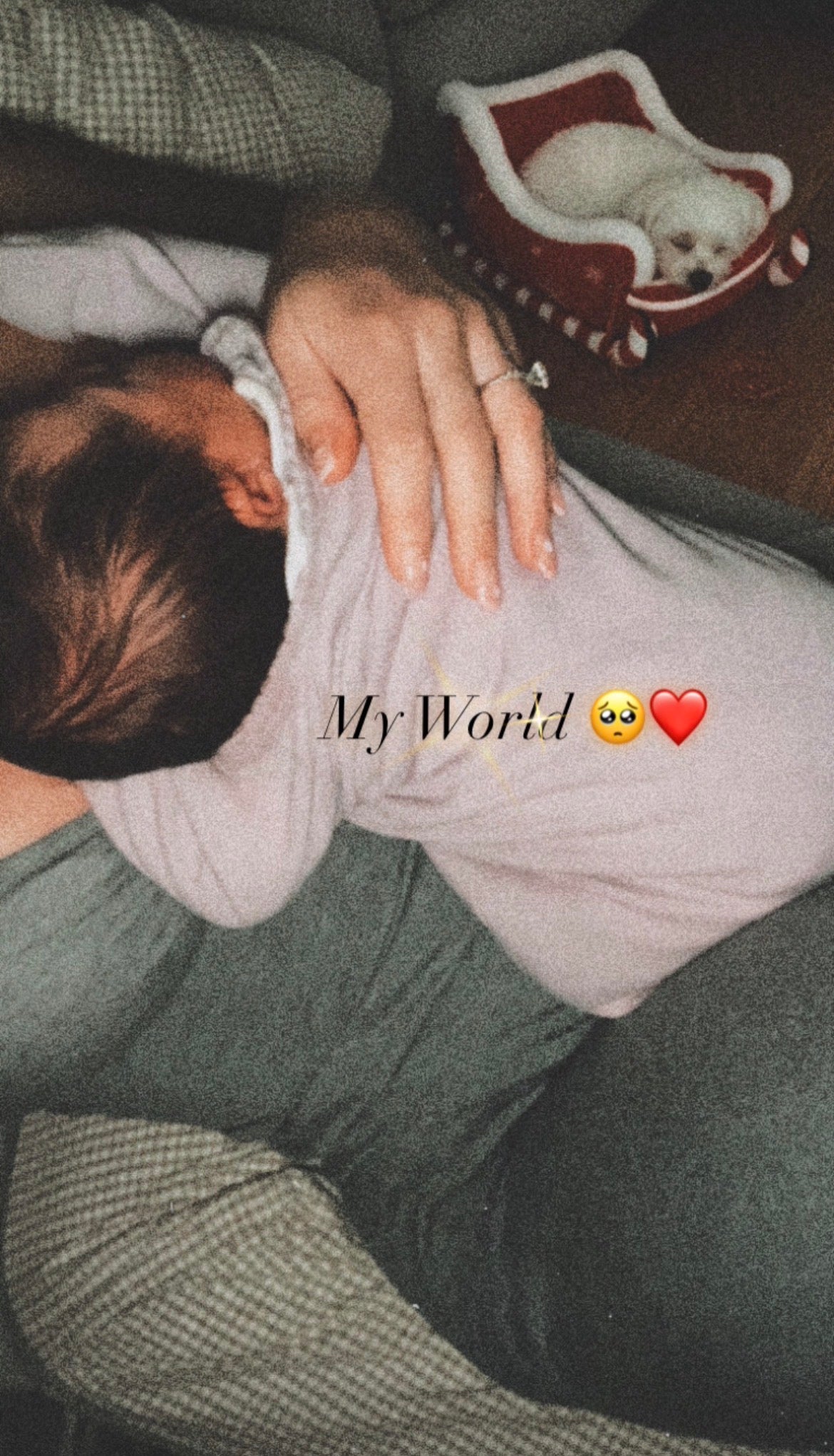 A close-up lifestyle photo of a baby wearing a pale pink long-sleeve shirt, lying on a person's lap with a hand resting on the baby's head. A small white cat is sleeping in a red and white bed in the background.
